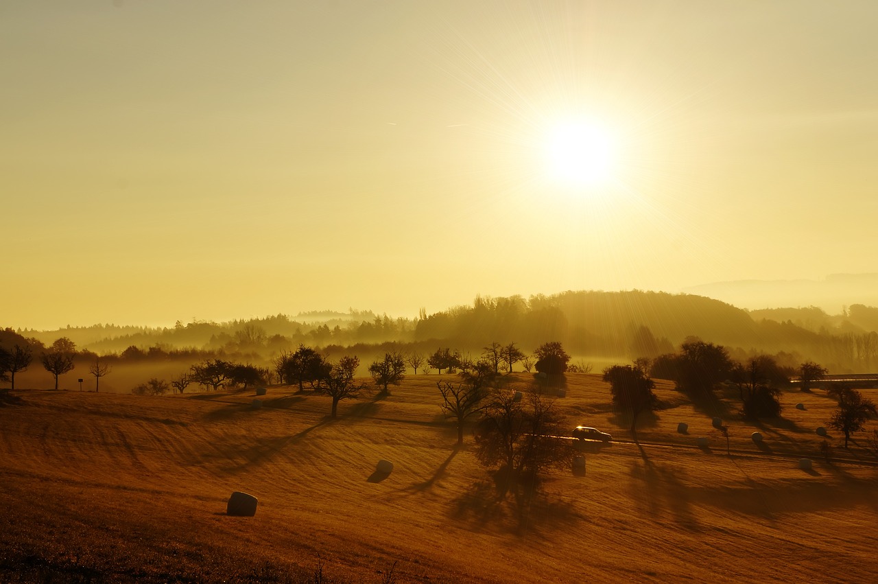 sunrise, landscape, fields, lonely, nature, fall, germany, yellow, sunny, sun, tomorrow, yellow, sunny, sunny, sunny, sunny, sunny, tomorrow