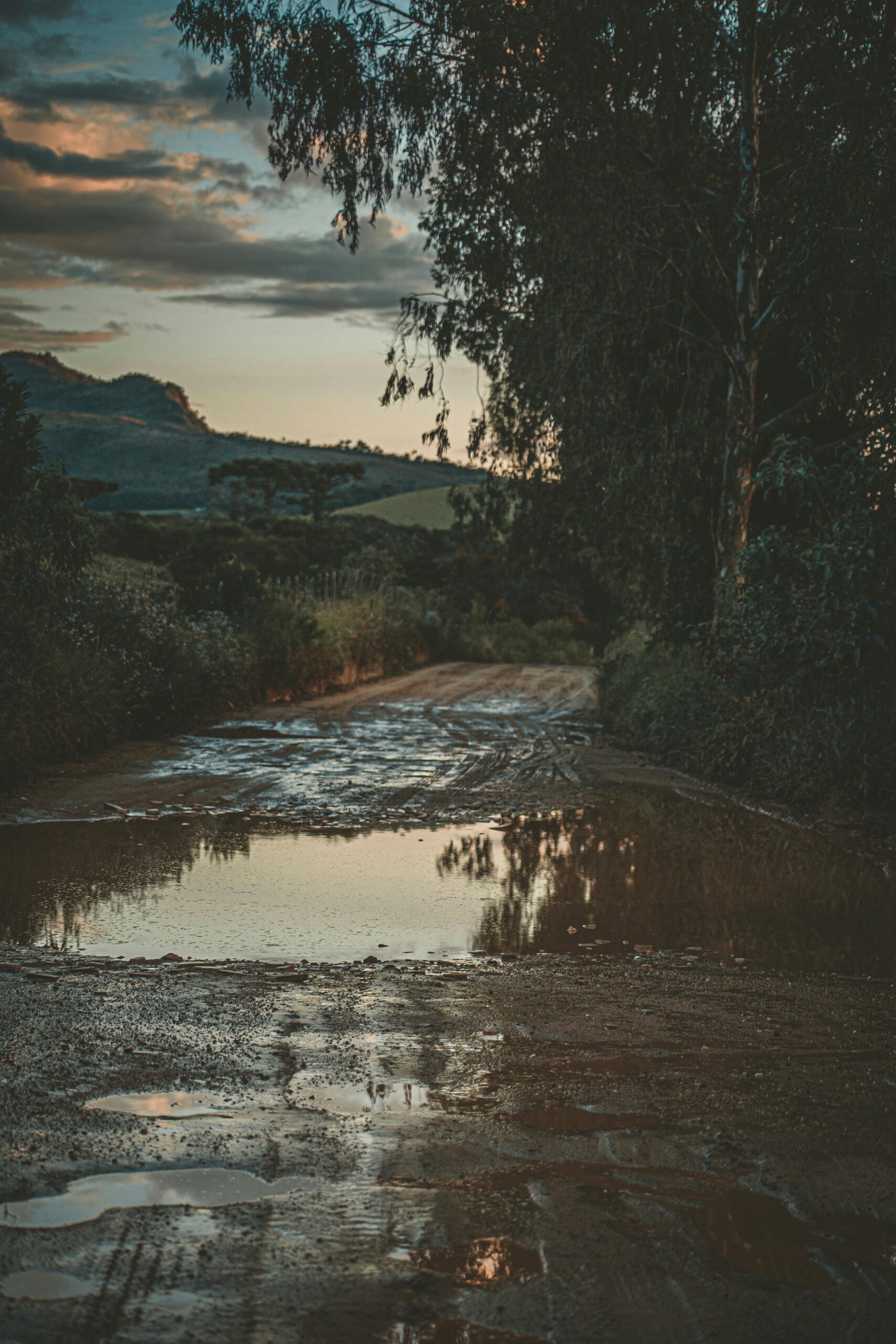 A serene dirt road with puddles reflecting a peaceful twilight scene in a rural landscape.